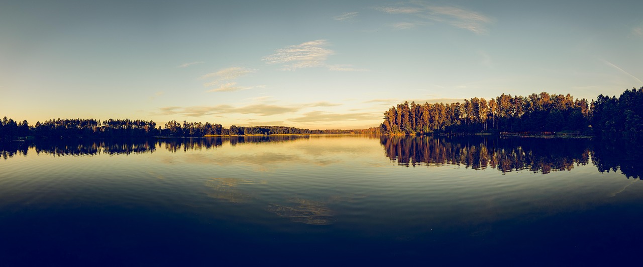 Natuurlijke zwembadwaterzuivering met lelies en riet. Natuurlijke zwembadwaterzuivering met lelies en riet.