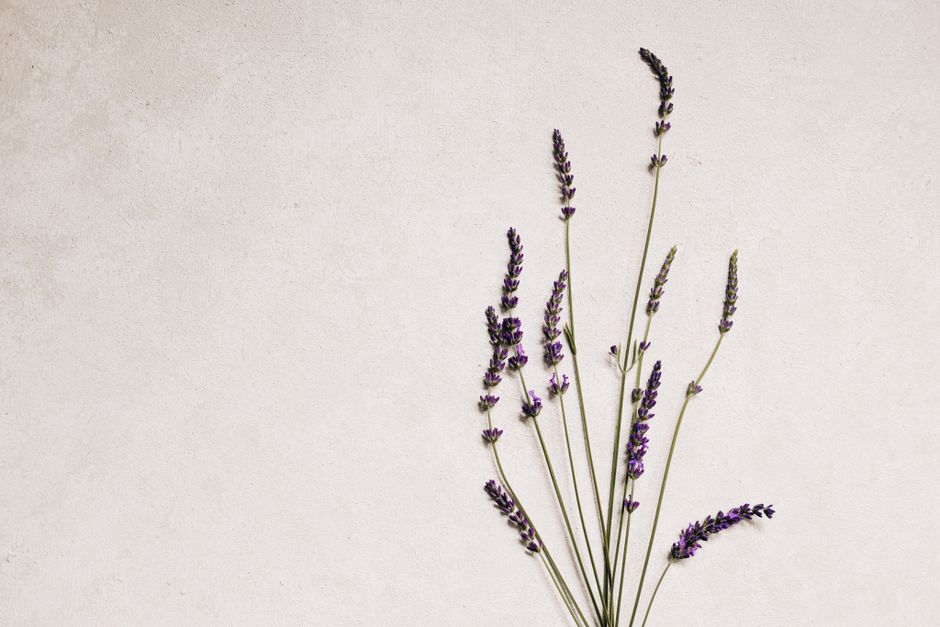 Stijlvolle lavendel accenten in minimalistische slaapkamer.